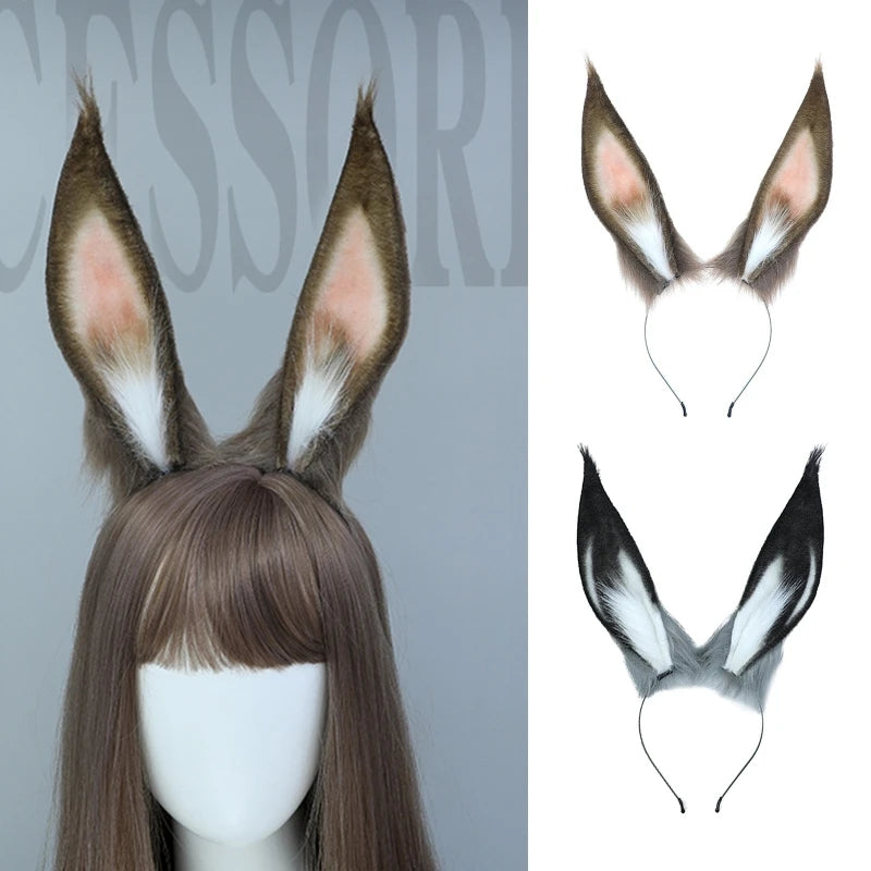S5089f0d44ce04c43821d423dd874ec15M